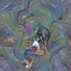 n02107312